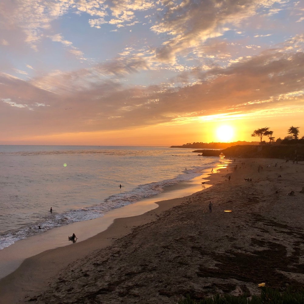 Meet your Posher, Janell